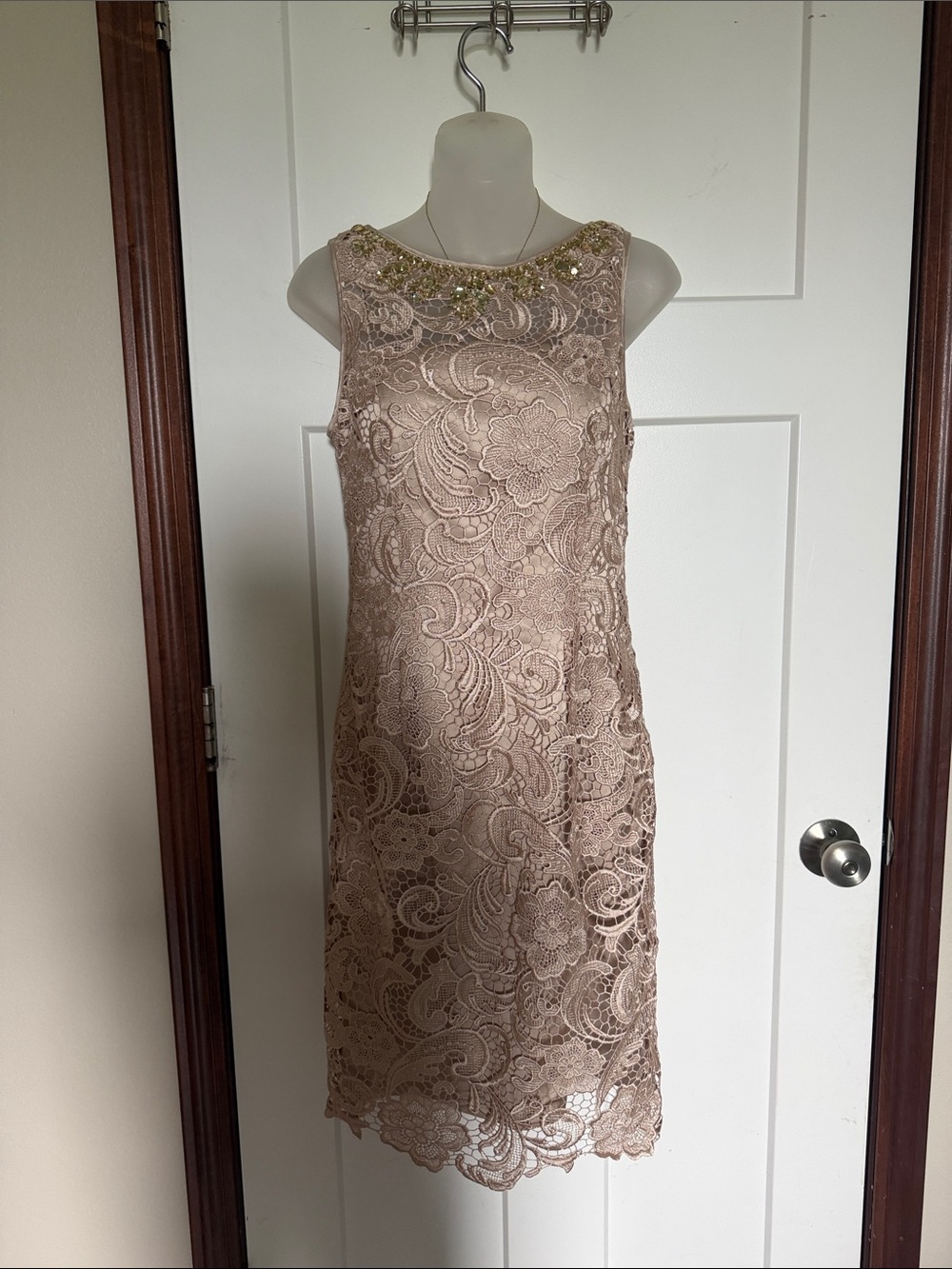 Adrianna Papell Beaded Neckline Lace Shift Dress in Blush Taupe